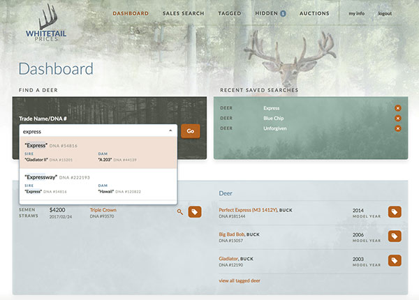 Screenshot: Dashboard